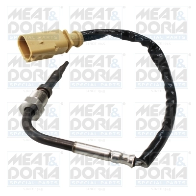Sensor, exhaust gas temperature